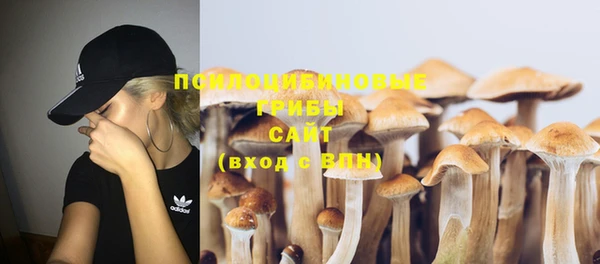 эйфоретик Белокуриха