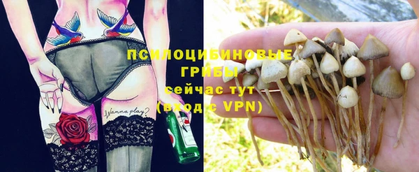 гидропоника Белоозёрский
