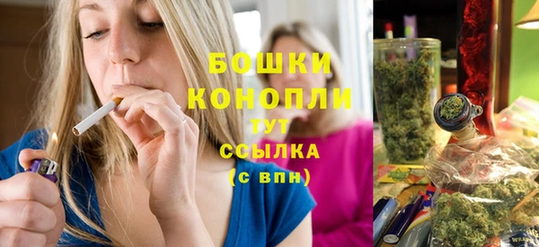 гидропоника Белоозёрский